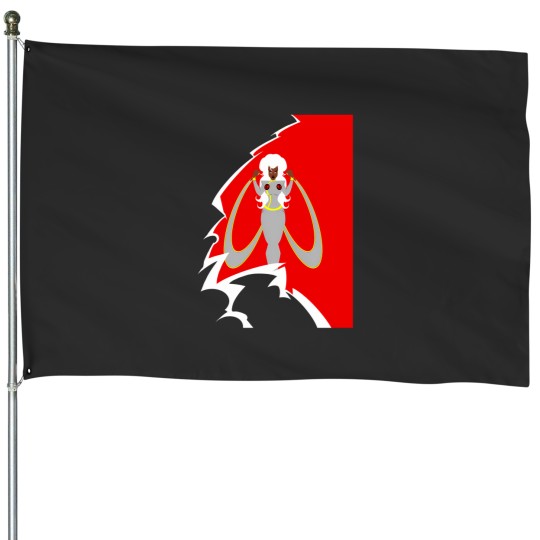 Discover 90S 331 House Flags