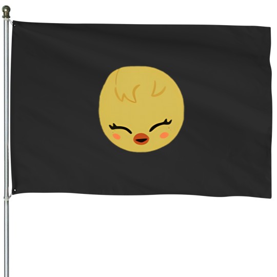Discover Bbokari Straykids House Flags