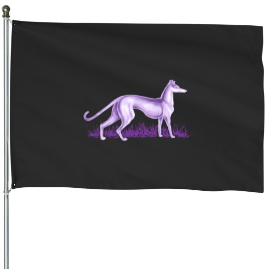 Discover Purple House Flags