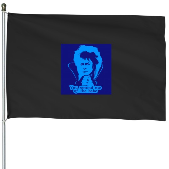 Discover You Remind me of the Babe in Bright Blue House Flags