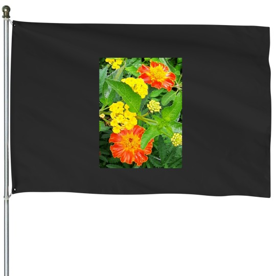 Discover yellow and orange flower House Flags