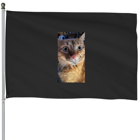 Discover What House Flags