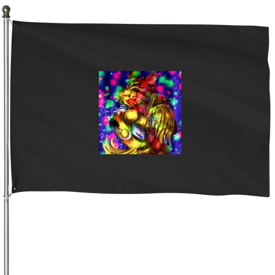 Discover Wouldn_t Miss A Second House Flags