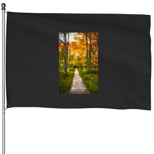 Discover Jesup Path 3212 House Flags