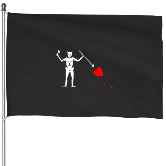 Discover Blackbeard Pirate House Flag