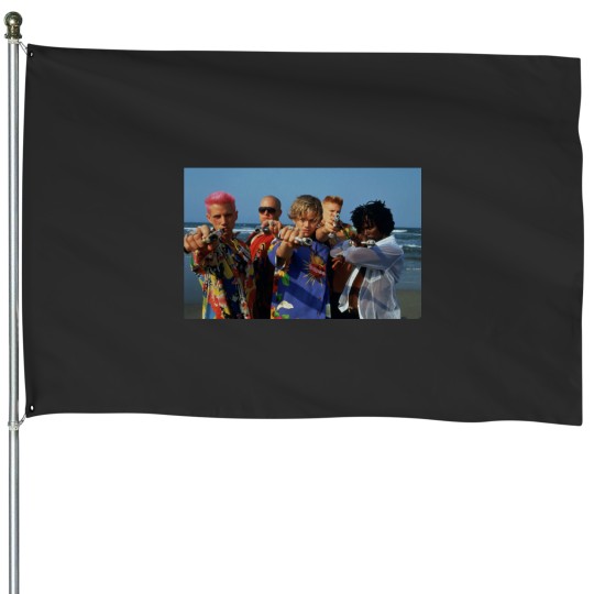 Discover leonardo dicaprio romeo and juliet t shirt House Flags