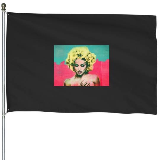 Discover Harmonious and Graceful House Flags
