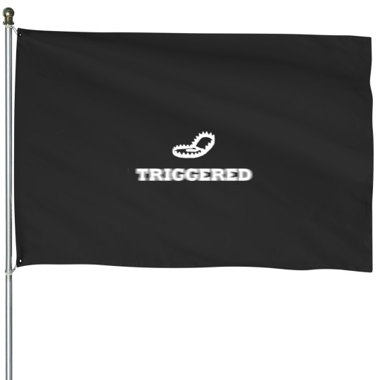 Discover Triggered House Flags
