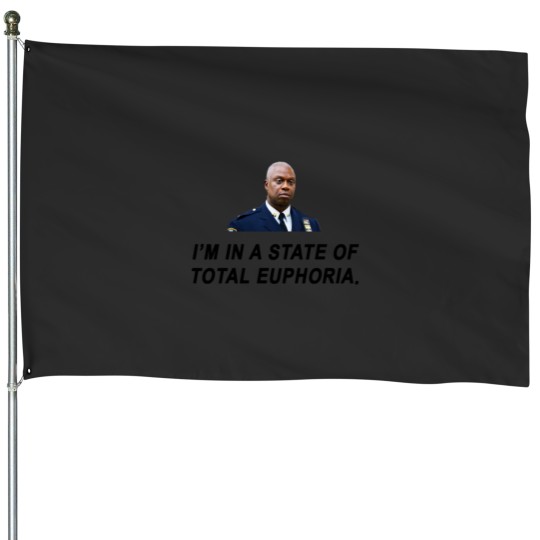 Discover Brooklynss Nine Nine Captain Holt House Flags
