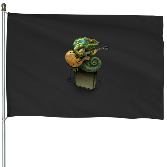 Discover Chameleon Plays the Blues... plus a few other colors House Flags