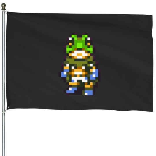 Discover Frog Chrono Trigger House Flags