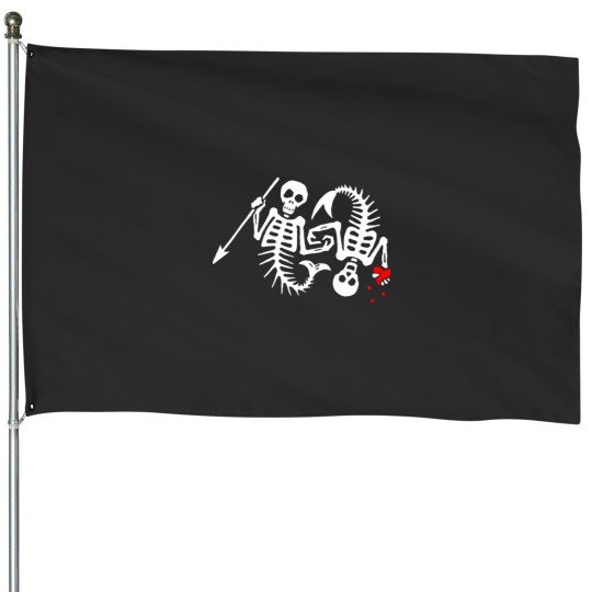 Discover Our Flags House Flags