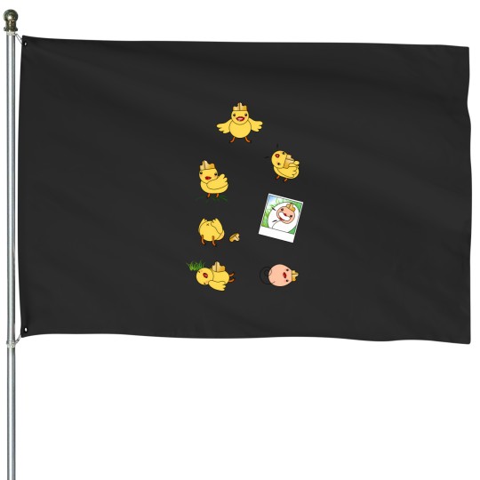 Discover Duck Characters 5786 House Flags
