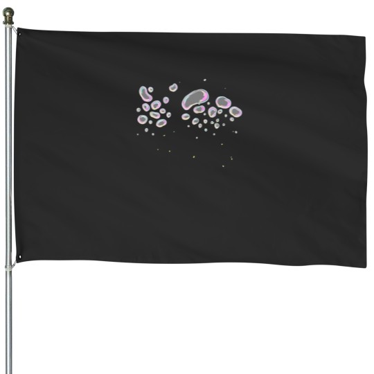 Discover Bubbles Classic House Flags
