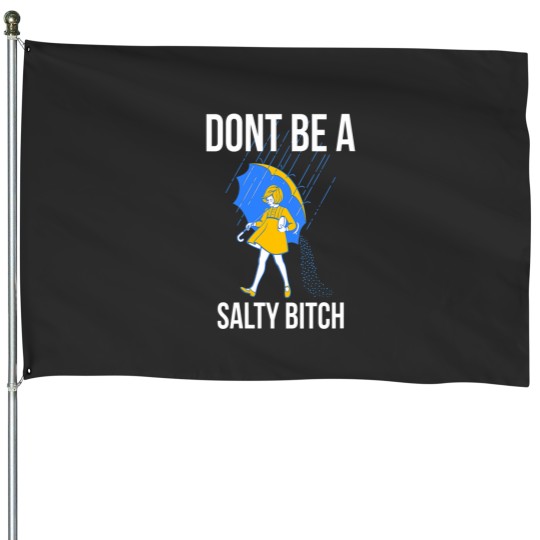 Discover Womens Dont Be a Salty VNeck House Flags