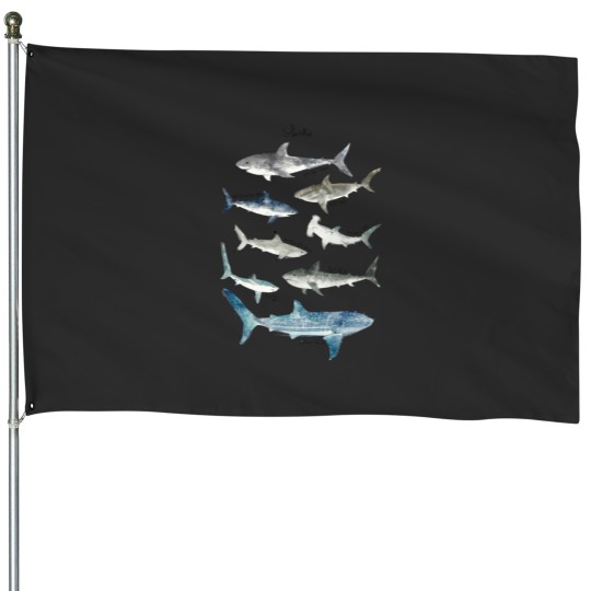Discover Sharks Classic House Flags