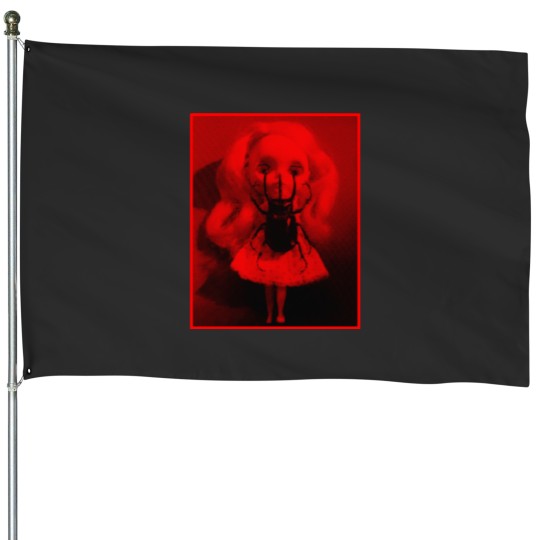 Discover 1994 Doll Active House Flags