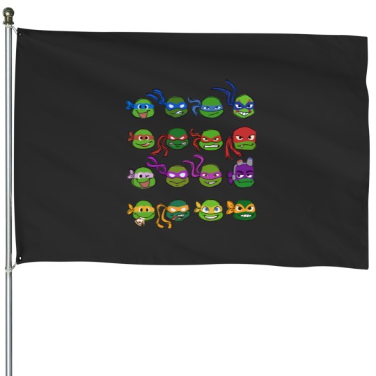 Discover Turtle Generations Classic House Flags