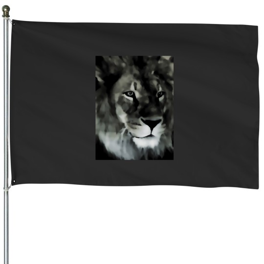 Discover Pride 135 House Flags