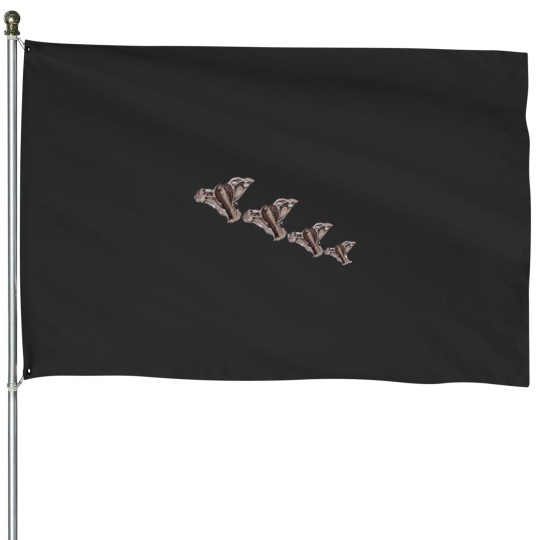 Discover in a row.  Active House Flags