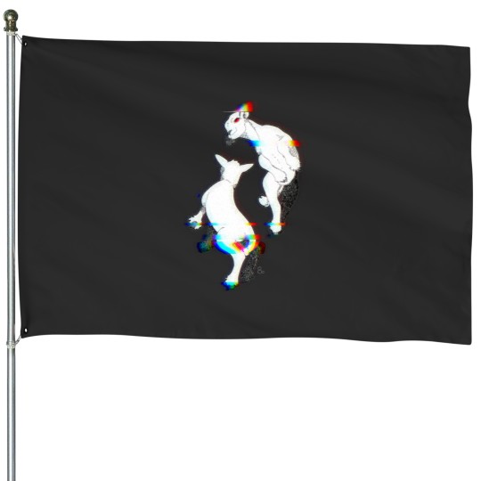 Discover Frolic House Flags