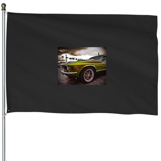 Discover 70 Mustangss Mach 1 House Flags