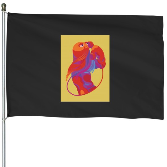 Discover Dhmis Series House Flag