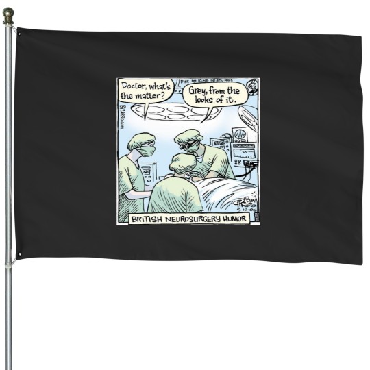 Discover Funny Piraro Neurosurgery Comic House Flags