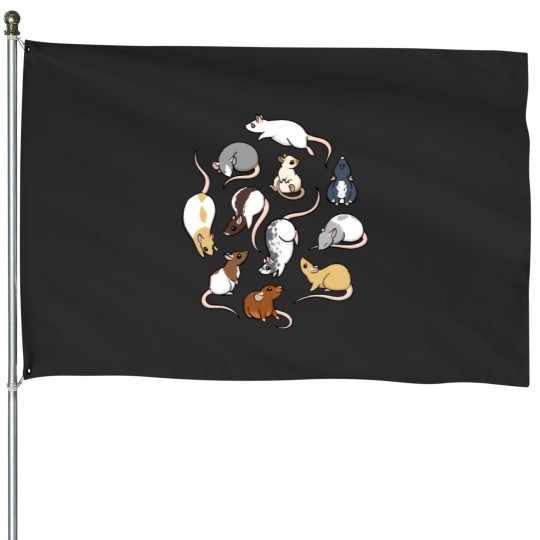 Discover Rats Classic House Flags