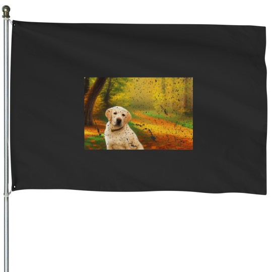 Discover Yellow Lab in the Park During Autumn House Flags