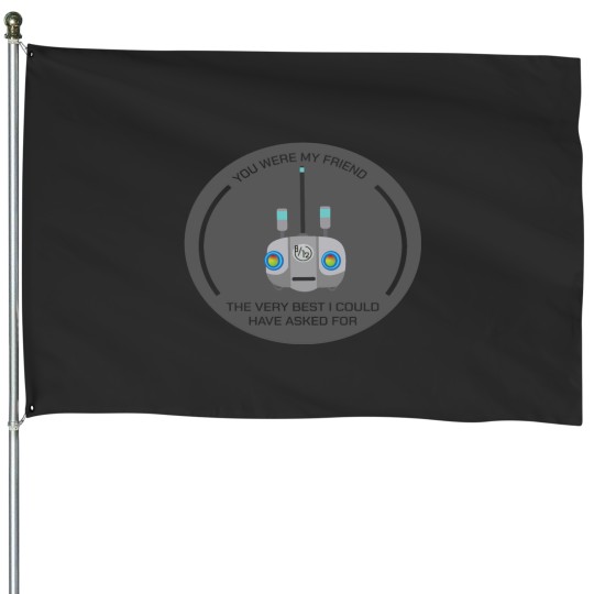 Discover B12 House Flags