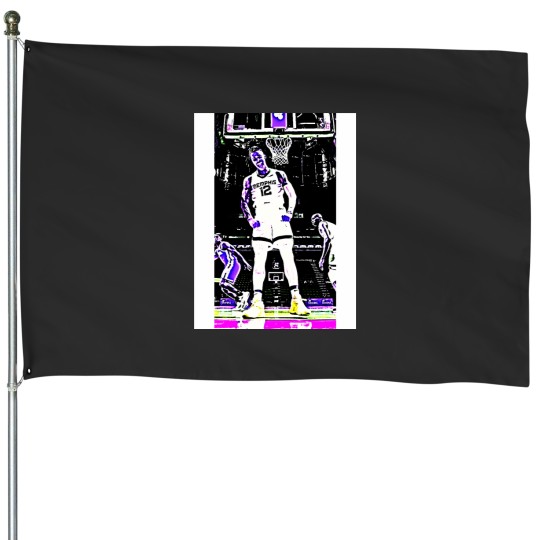 Discover Mephis And Ja 12533 House Flags