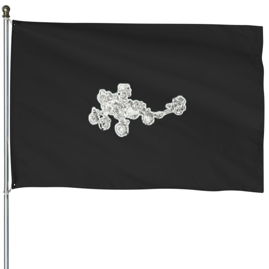 Discover Perseverane Mars Rover Sketch House Flags