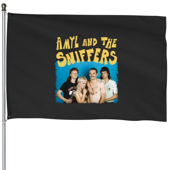 Discover Amyl and the sniffers band House Flags