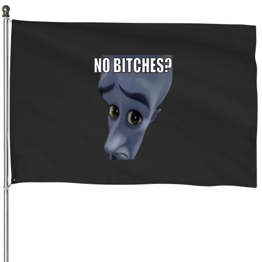 Discover No Bitches Meme Megamind Burtons House Flags