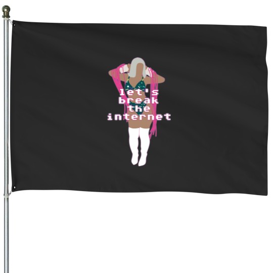 Discover Break the Cyber Net House Flags