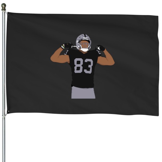 Discover Dw 43 House Flags