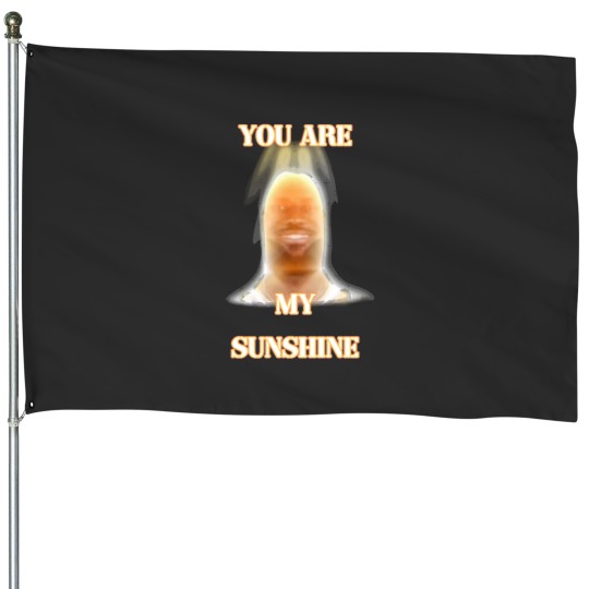 Discover you are my sunshine my only sunshine lebron james House Flags