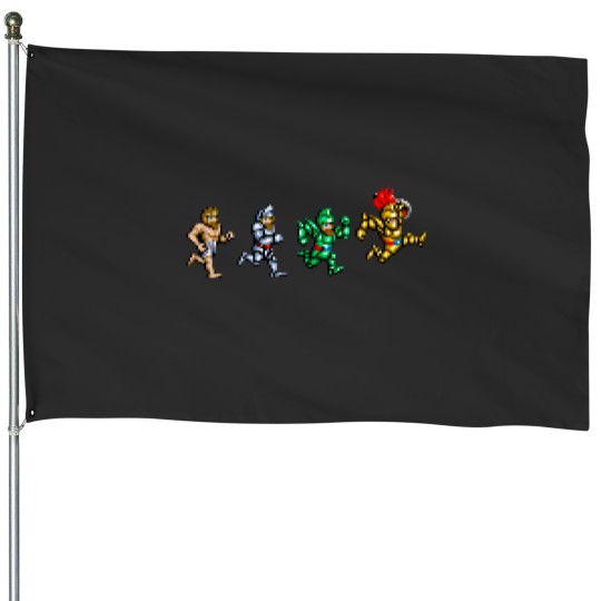 Discover SIR ARTHURS EVOLUTION House Flags