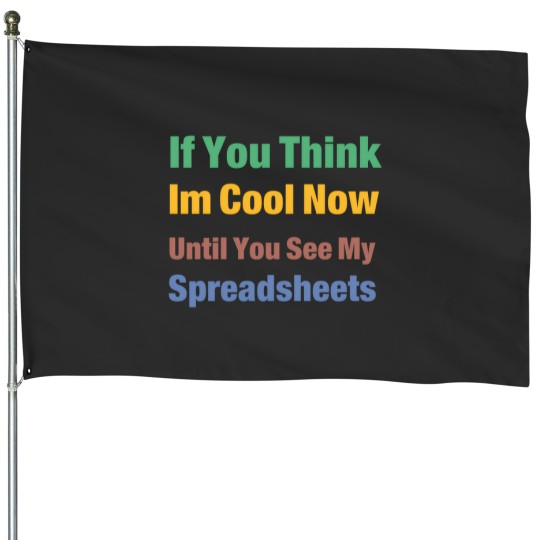 Discover You Think I'M Cool Now Wait Until You See My Spreadsheets 3051 House Flags