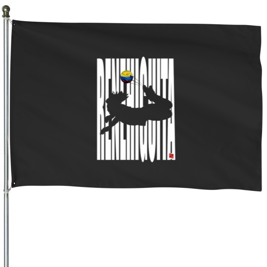 Discover Rene Higuita - Scorpion Kick 667 House Flags