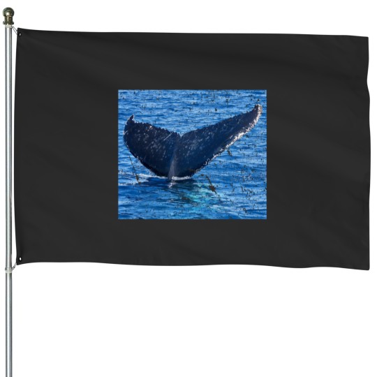 Discover Whales tail Hervey Bay House Flags