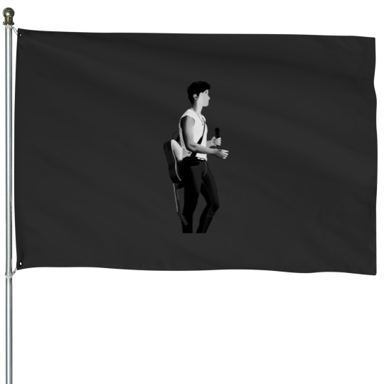 Discover Music Pop House Flags