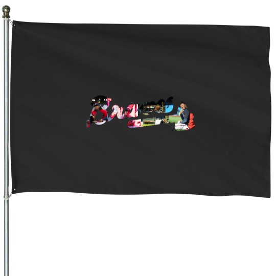 Discover Acua Jr House Flags