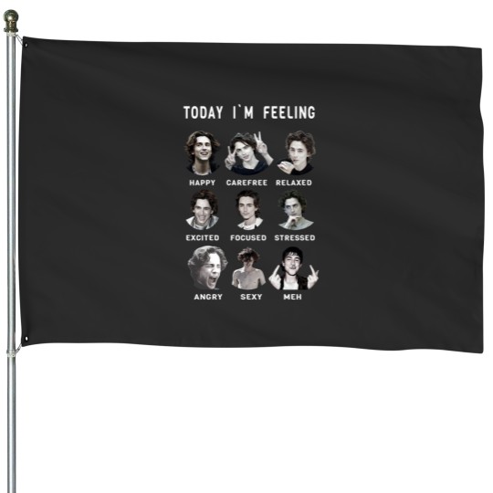 Discover Timothee Chalamet Funny Feelings Essential House Flags