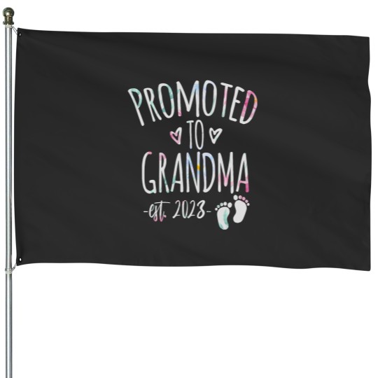 Discover Promoted to Grandma 2023 again Cute Baby Announcement Women House Flags