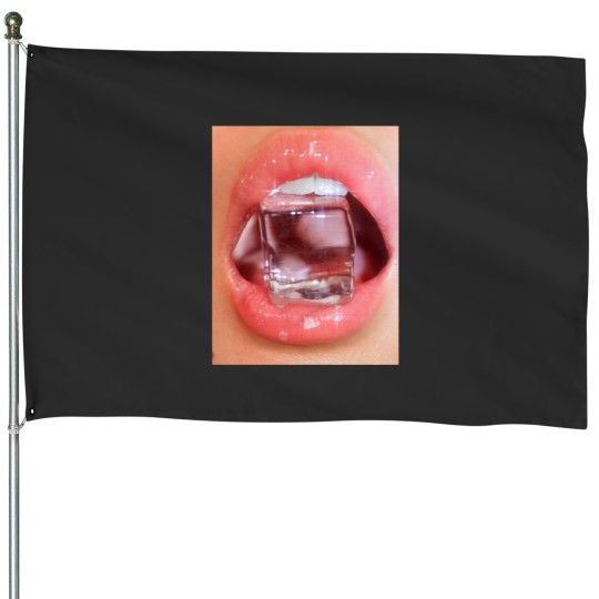 Discover ICE CUBEss lips House Flags