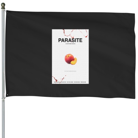 Discover PARASITE Movie House Flags