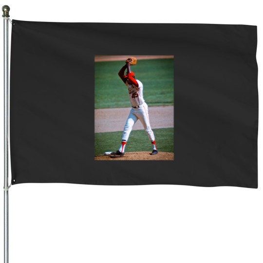 Discover Gibby Gift shirt Essential House Flags