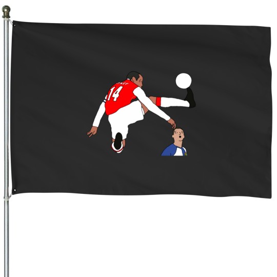 Discover Henry House Flags
